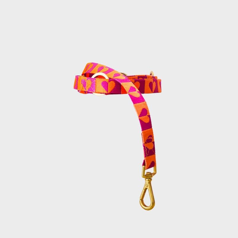 Laisse pour chien tendance de la marque Dogguo