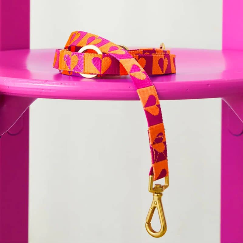 Laisse 3 points pour chien dogguo orange rose heart