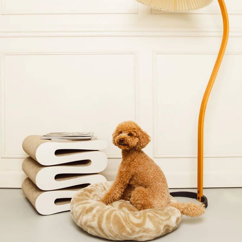 Lit tendance et design en beige de la marque Dogguo Pet en beige swirl