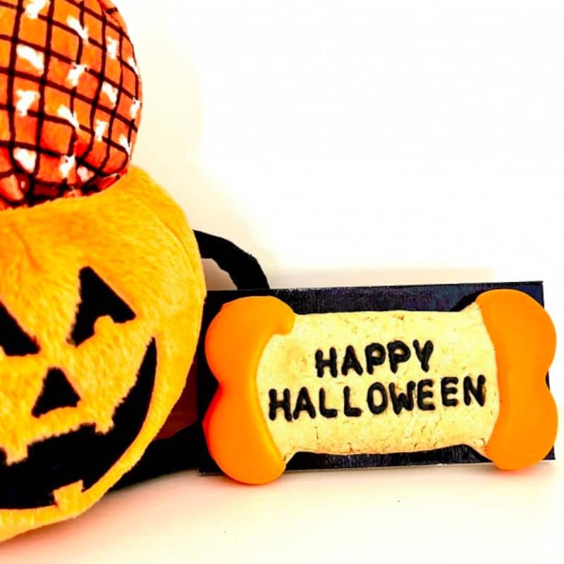 biscuit pour chien Hallowen en forme d'os Happy Halloween Dolci Impronte