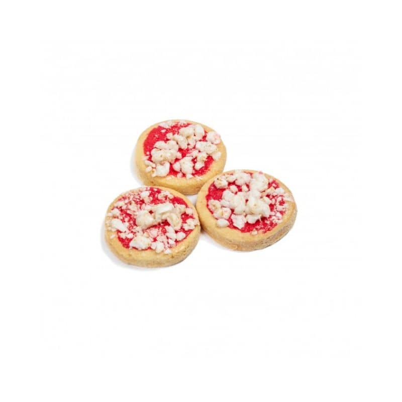 biscuit pour chien en forme de pizza