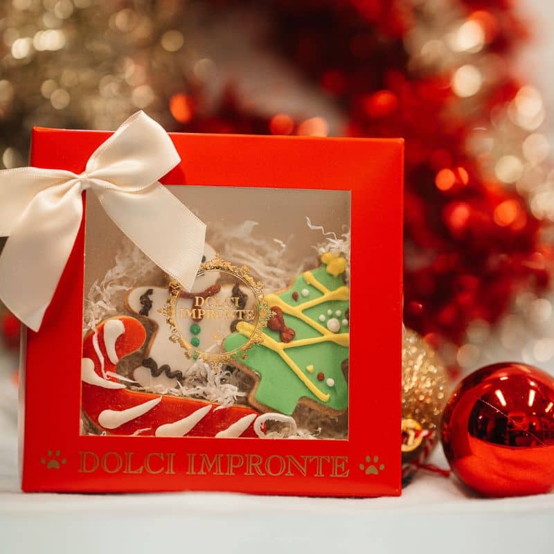 Coffret de Noël pour chien avec 3 biscuit en forme de gingerbread bonhomme pain d'épice, un sapin de Noël et une canne à sucre candycane de Dolci Impronte