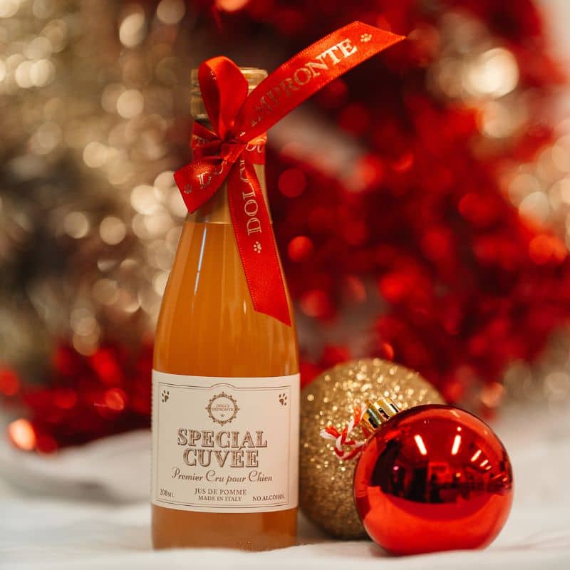 Bouteille de bulle festive pour chien pour fête de Noël - idéal cadeau de noel de Dolci Impronte "spécial cuvée"