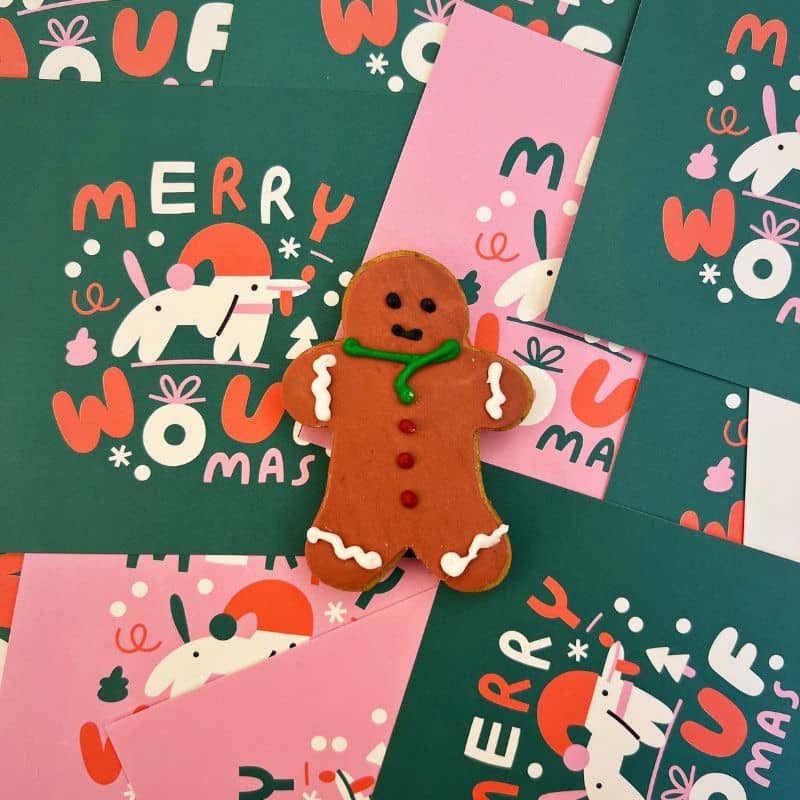 Gateau pour chien artisanal en forme de bonhomme pain d'épices pour Noël