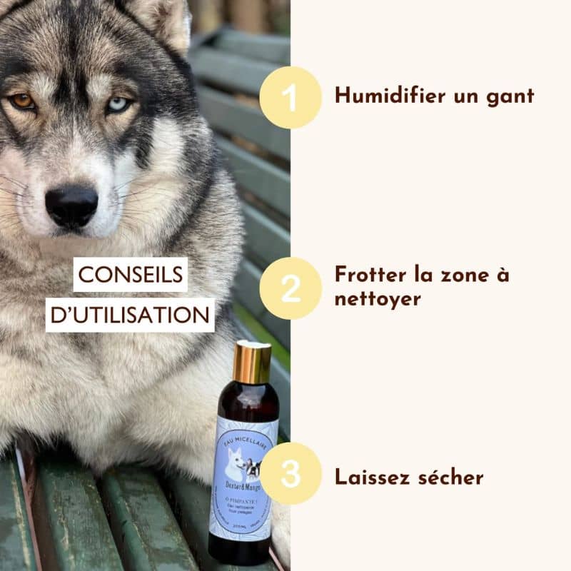eau micellaire nettoyante de la marque Dexter et Mango pour chien pour un chien propre