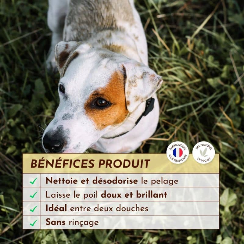 eau micellaire nettoyante de la marque Dexter et Mango pour chien poil doux et brillant sans rinçage