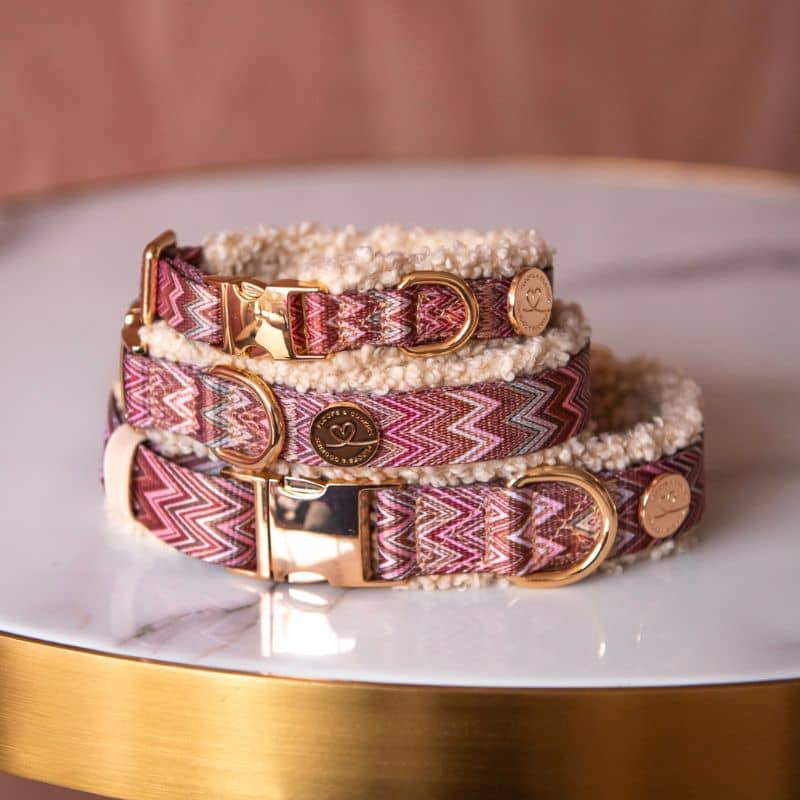 Collier pour chien motif ziggy zig zag de Floofs & Cookies en sherpa pour toutes tailles de chien