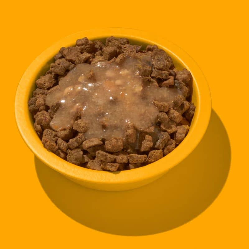 Smoothie pour chat au poulet à la pomme et carotte idéal pour les tapis de léchage délicieux et gourmand ou agrément de croquettes