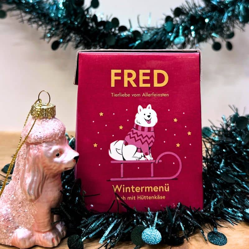 Menu de noel repas complet pour chien idéal pour fêter délicieux et gourmand