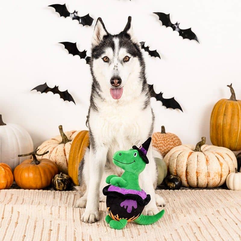 jouet peluche Halloween pour chien Stirring the pot de la marque Fringe en forme de dinosaure TRex dans un chaudron magique