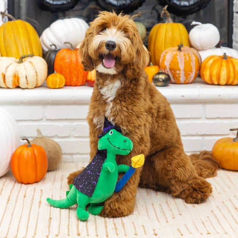 jouet peluche Halloween pour chien Spell O Saurus de la marque Fringe en forme de dinosaure TRex déguisé en sorcier avec sa cape, son chapeau pointu et son balai