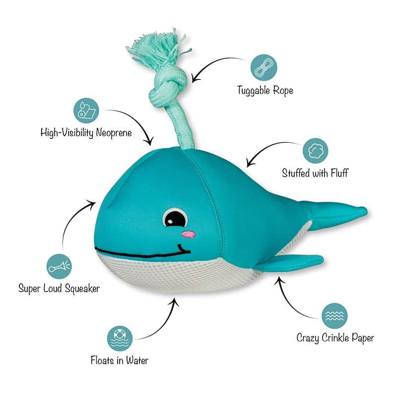 jouet flottant pour chien idéal pour l'été : "Splashy" la baleine par Splash Mates Fringe
