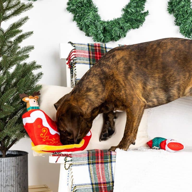 jouet interactif pour chien dans lequel cacher des friandises en forme de traineau du père noel de la marque Fringe Petshop
