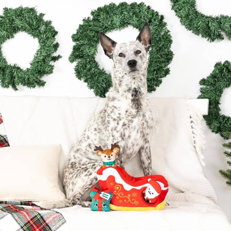 peluche de fouille pour chien dans lequel cacher des friandises en forme de traineau du père noel de la marque Fringe Petshop