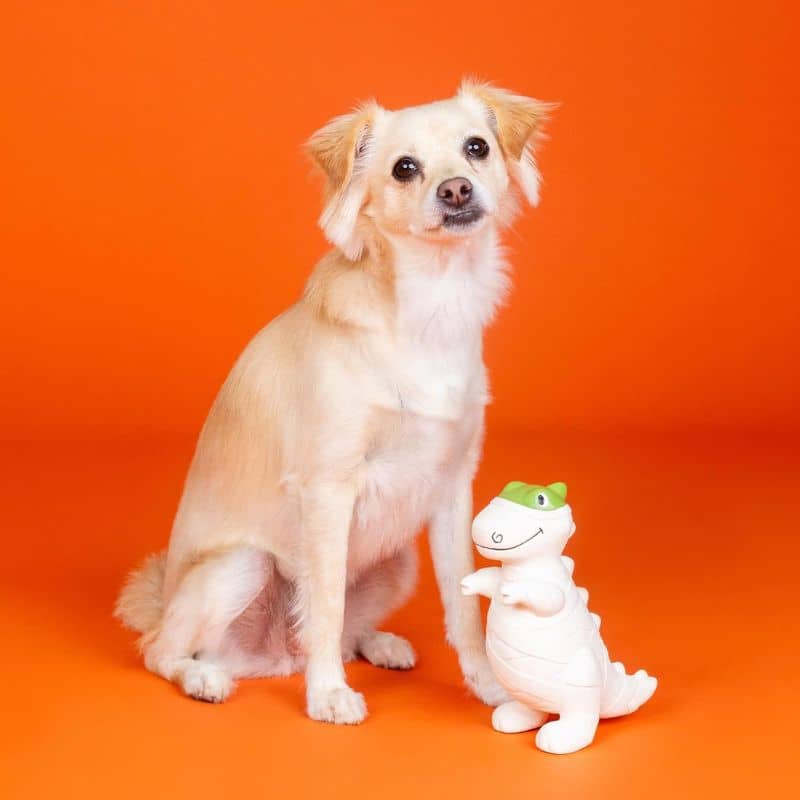 jouet en latex pour chien en forme de dinosaure momie Halloween avec maxi squeaker