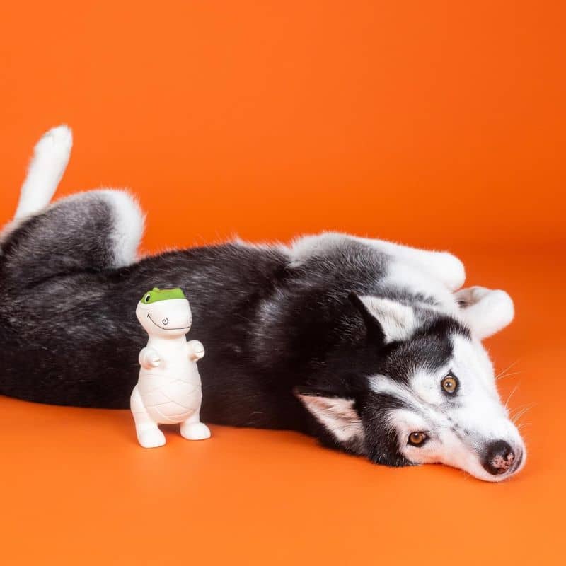 jouet en latex pour chien en forme de dinosaure momie Halloween Fringe
