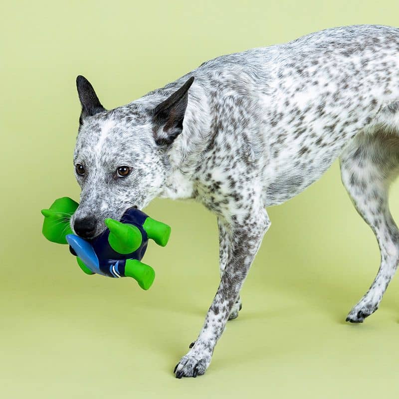 Chien avec un jouet en latex naturel en forme de dinosaure avec un surf de la marque Fringe Studio Pet Shop
