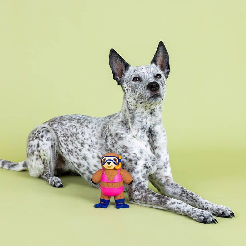 Jouet en latex naturel pour chien en forme de paresseux qui fait de la plongée de la marque Fringe Studio Pet Shop