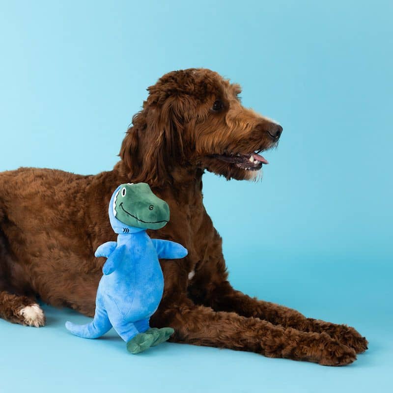 chien avec jouet peluche en forme de requin bleu et dinosaure
