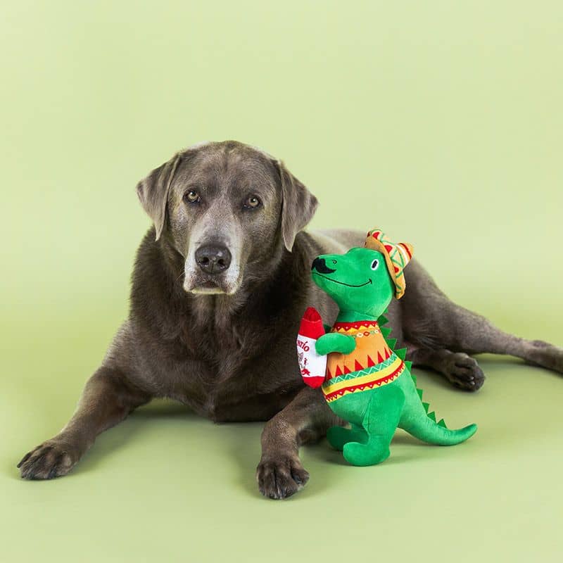 Peluche pour chien en forme de T-Rex portant un sombrero de la marque Fringe Studio Pet Shop - Fiestasaurus
