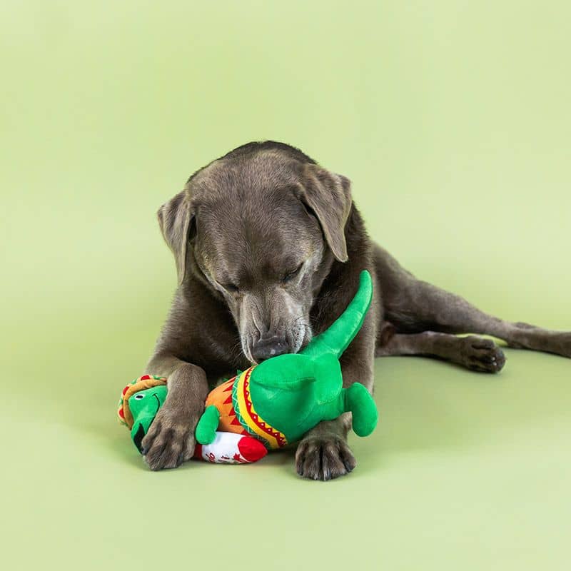 Peluche pour chien en forme de dino portant un sombrero de la marque Fringe Studio Pet Shop