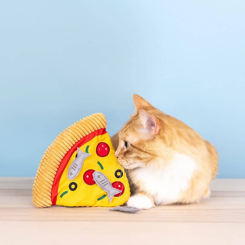 Chat avec un jouet en forme de pizza avec des poissons anchois qui se détachent avec de la cataire