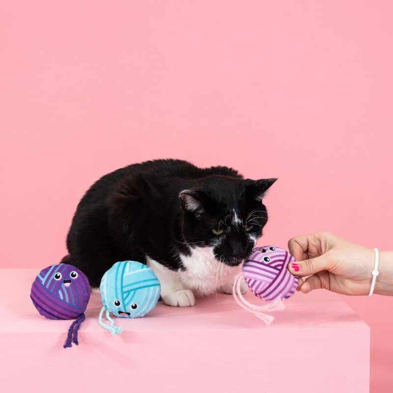 Jouet pour chat en forme de pelote de laine avec de l'herbe à chat de Fringe Studio