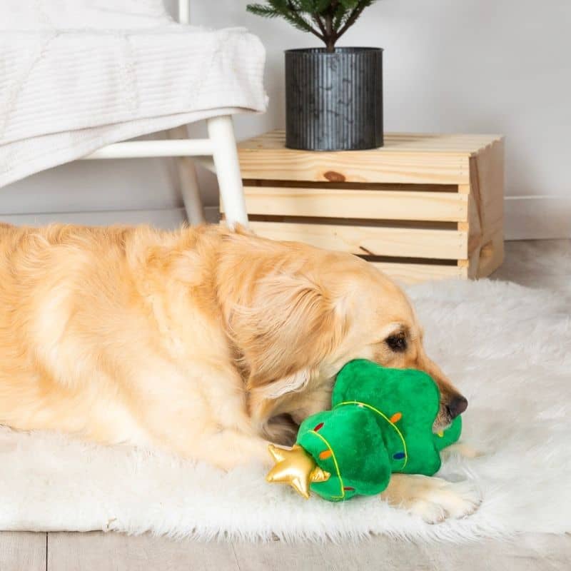 Jouet pour chien de Fringe pet shop studio en forme de sapin de noël Light me up