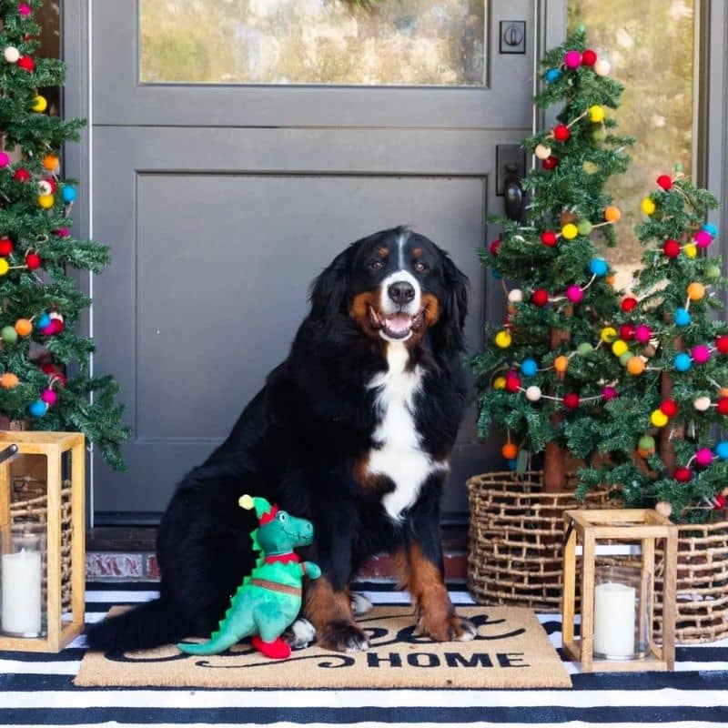 Chien avec peluche de noel de grande taille mignonne en forme de dinosaure