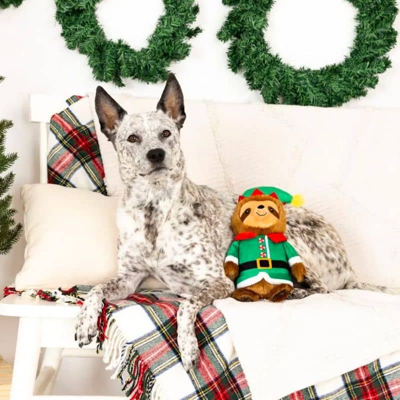 Jouet peluche de noel pour chien de Fringe pet shop en forme de paresseux mignon - Treat yo elf