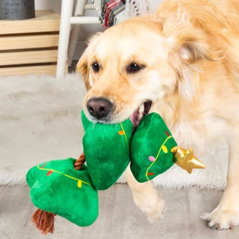 Grand chien avec jouet de noel résistant en forme de sapin de noel