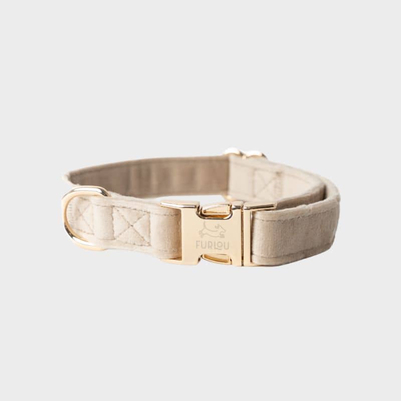 Collier pour chien en velours de Furlou : collection velvet clay orange terre cuite
