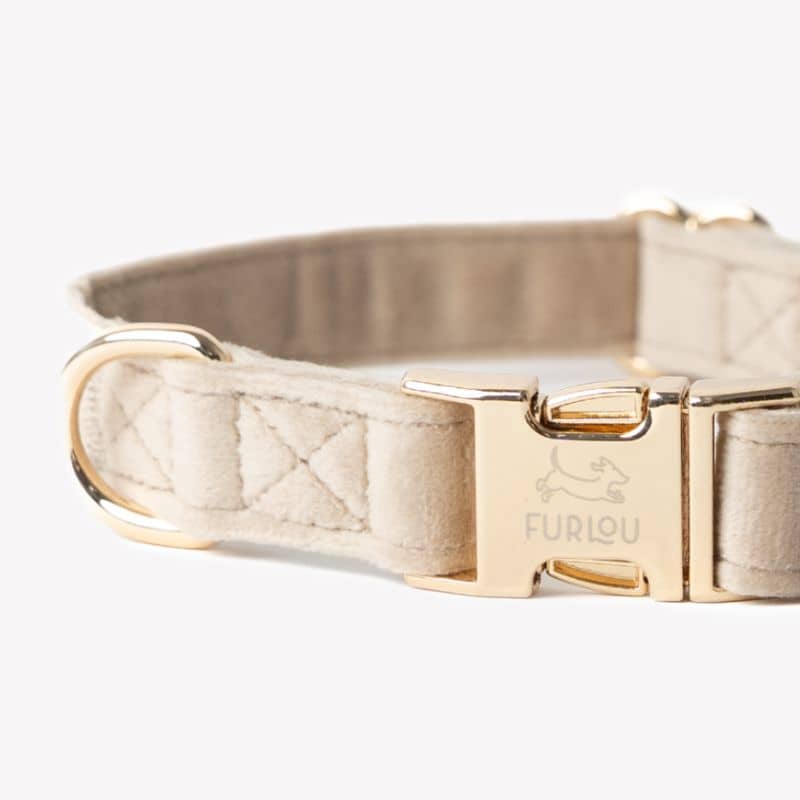 Collier pour chien en velours de Furlou en beige sable, Sand velvet