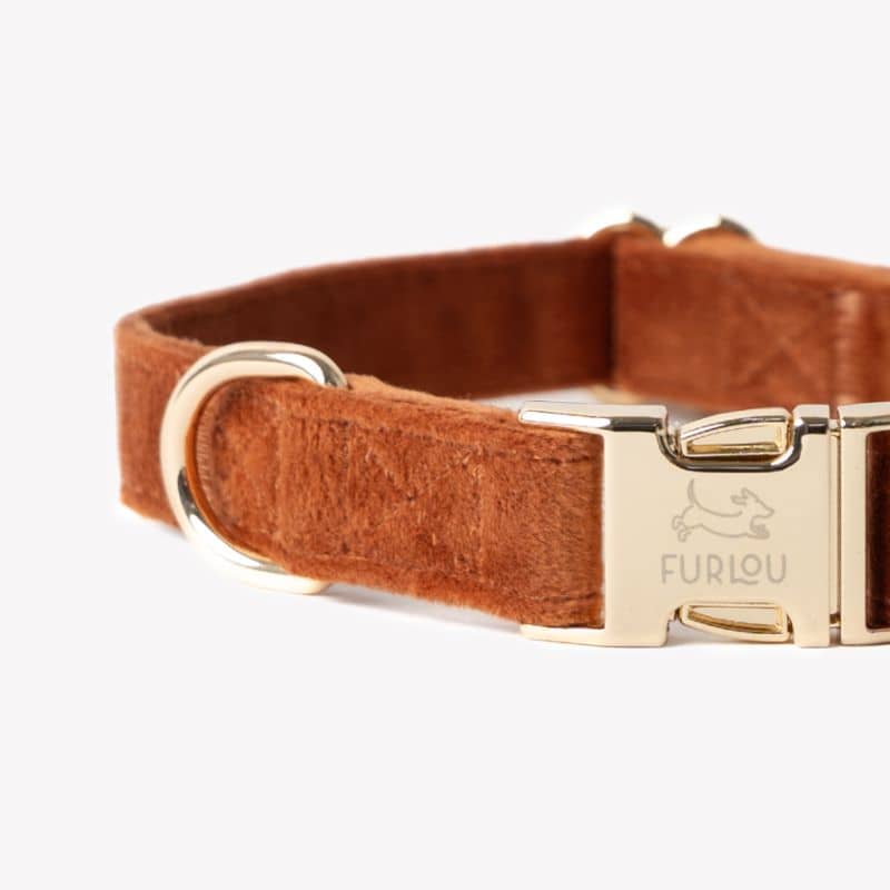 Collier pour chien en velours de Furlou en orange terre cuite, Clay velvet