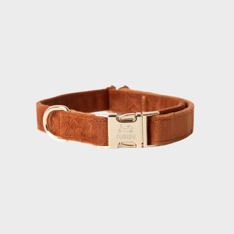 Collier pour chien en velours de Furlou : collection velvet orange terre cuite clay