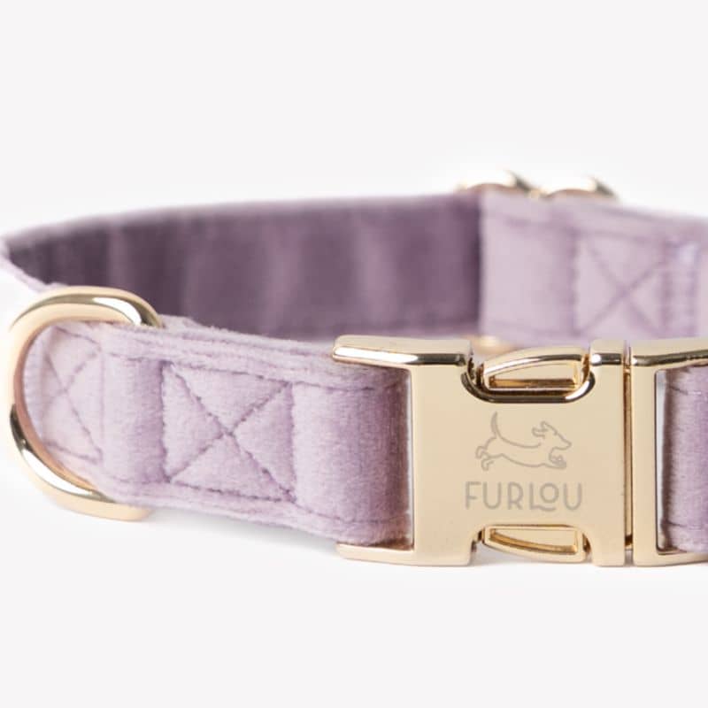 Collier pour chien en velours de Furlou en violet mauve parme, Lilac velvet