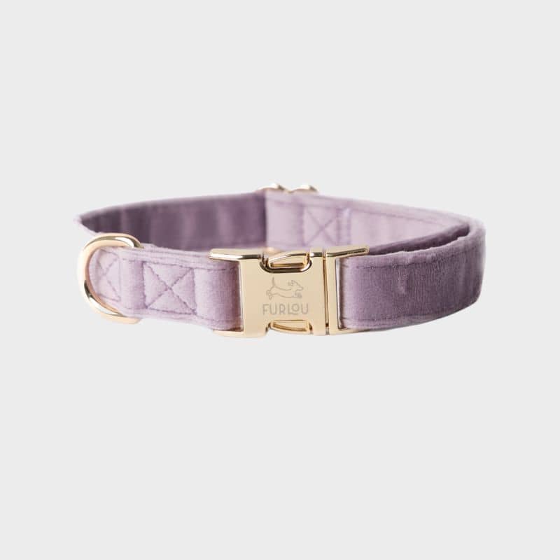 Collier pour chien en velours de Furlou : collection velvet lilac en violet parme