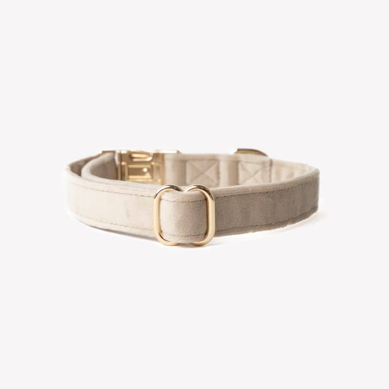 Collier pour chien élégant en velours de couleur beige sable Sand de Furlou