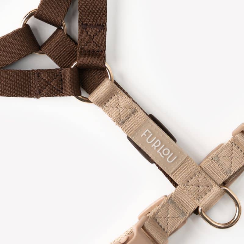 Détail du harnais pour chien tendance forme strap H modèle Puppaccino en marron et beige de Furlou