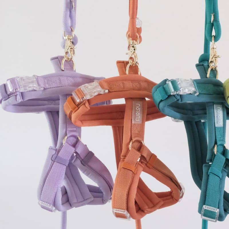 Nouveau harnais collection summer comfort de Furlou - harnais pour chien confortable