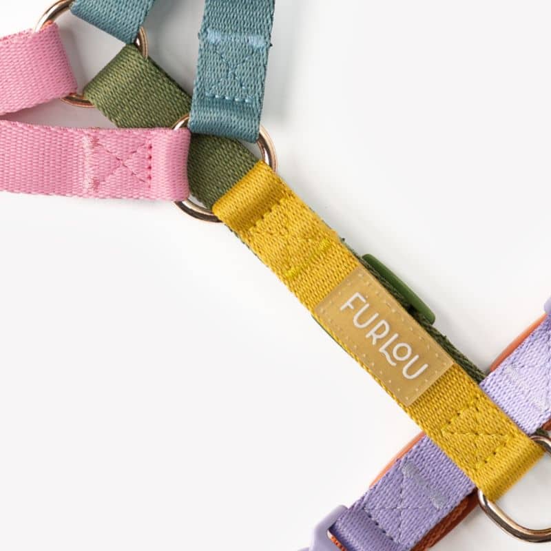 Détail du harnais pour chien Furlou multicolore
