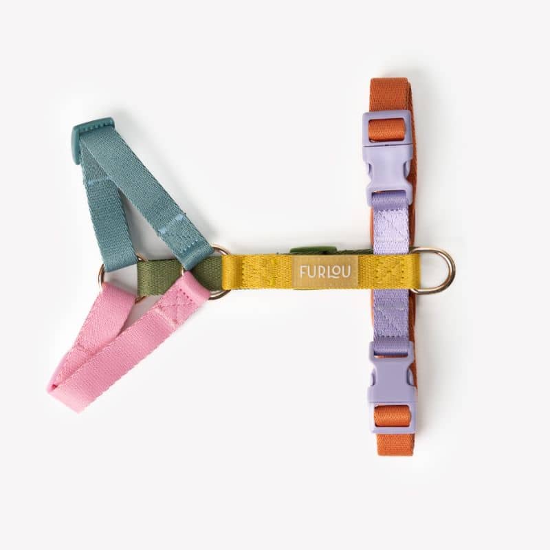 Harnais pour chien multicolore rainbow : violet, vert, orange, jaune, bleu et rose de Furlou