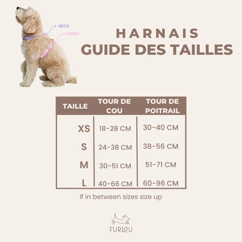 Guide des tailles des harnais pour chien sherpa de Furlou