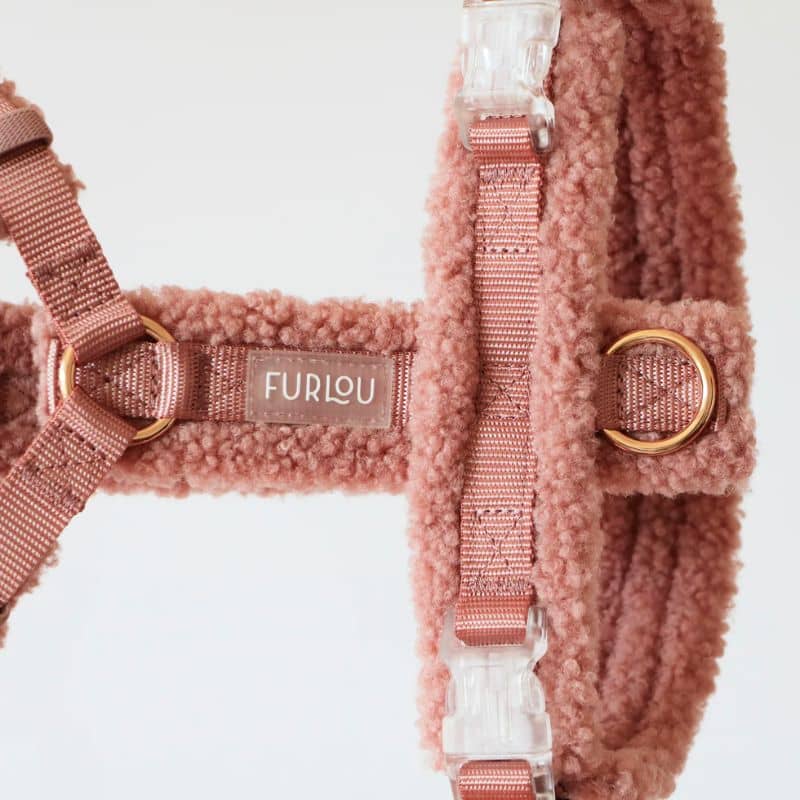 Collection de harnais tendance pour chien chaud pour l'hiver et confortable en vieux rose