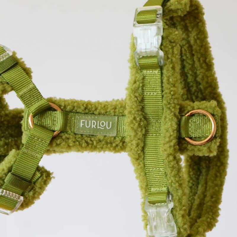 Détail du harnais de Furlou pour chien en moumoute vert