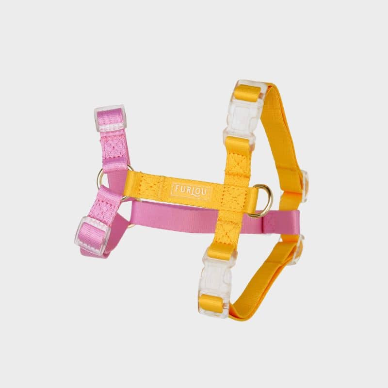 Harnais pour chien en H bicolore pink et yellow de Furlou