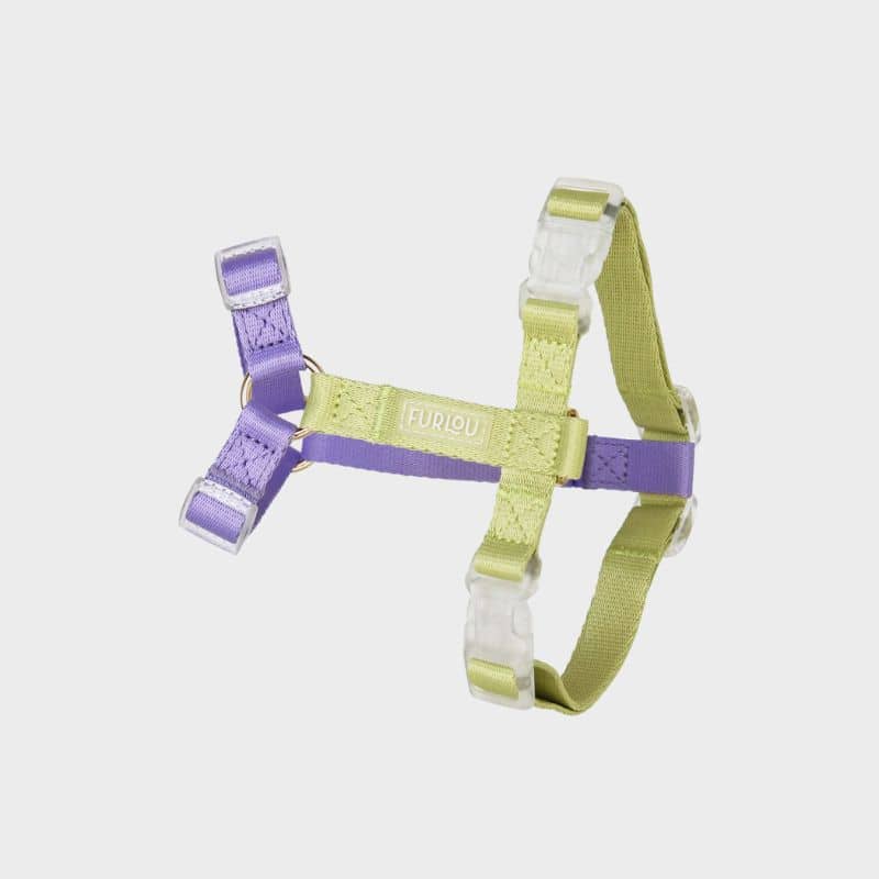 Harnais pour chien en H vert et mauve pastel
