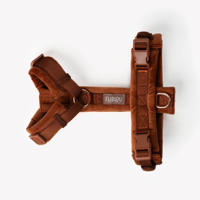 Harnais pour chien en velours orange de Furlou - harnais pour chien tendance et confortable
