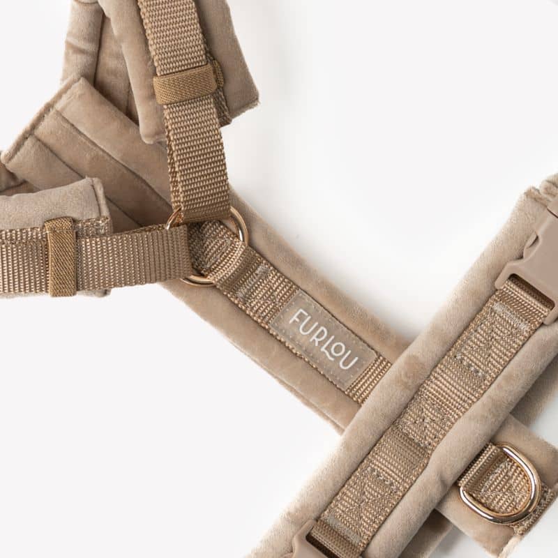 Détail du harnais pour chien en beige sand de Furlou - accessoire pour chien tendance et confortable 