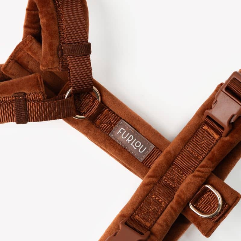 Détail du harnais pour chien en orange clay de Furlou - accessoire pour chien tendance et confortable 